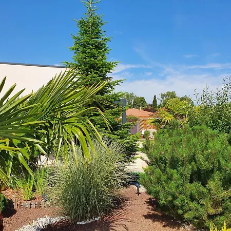 Bleunuit - Location Maison De Vacances Avec Piscine Privee Gaillac